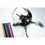 Eje Central Carrete Daiwa Tournament Basia 45 QD2