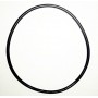 Basia Infinity Spool O-rings