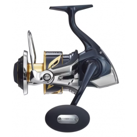 Shimano Stella 6000 SW C XG Angelrolle