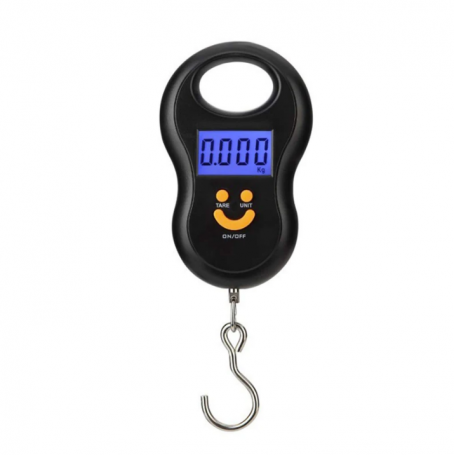 Portable Electronic Hanging